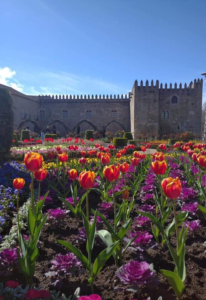 braga